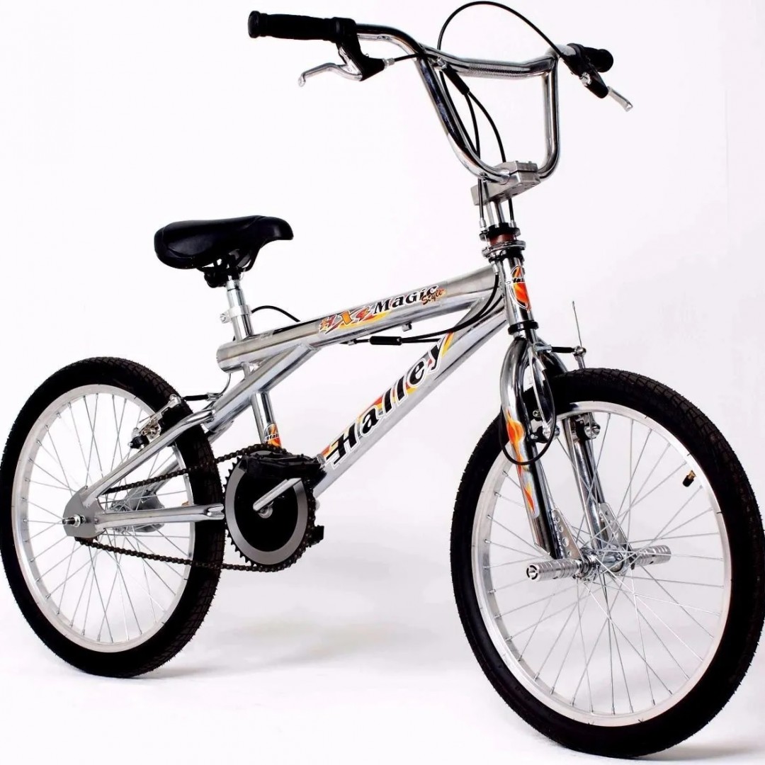 bicicleta-freestyle-r20-de-aluminio-pulido-laqueado-bin16300