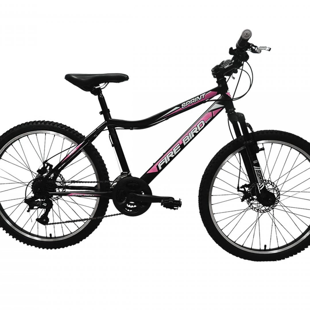bicicleta-mtb-rod24-21v-ltwoo-acero-fdisco-susp-del-dama-bin19138d