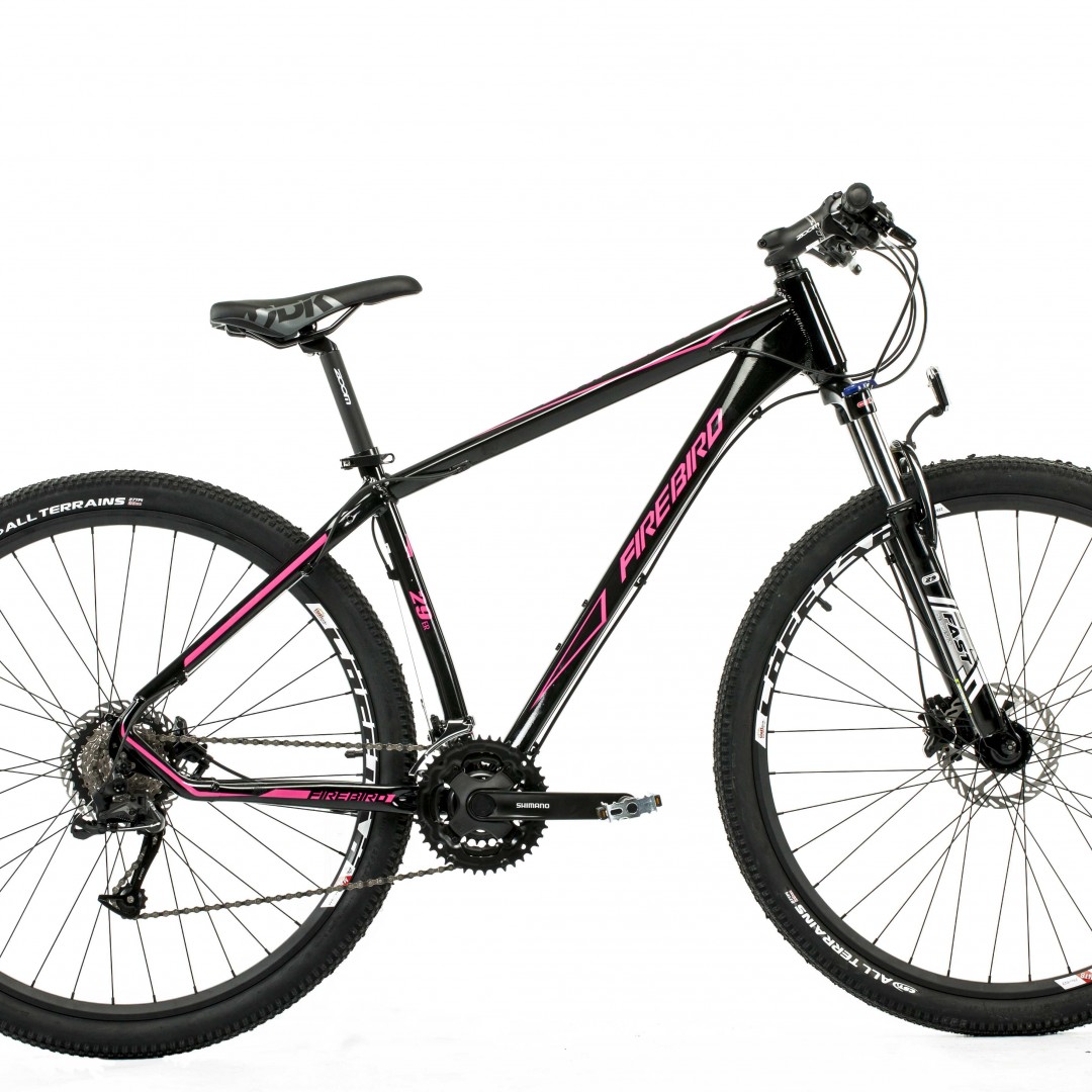 bicicleta-mtb-r29-fire-bird-24v-disco-hidraulico-bin29-24dh