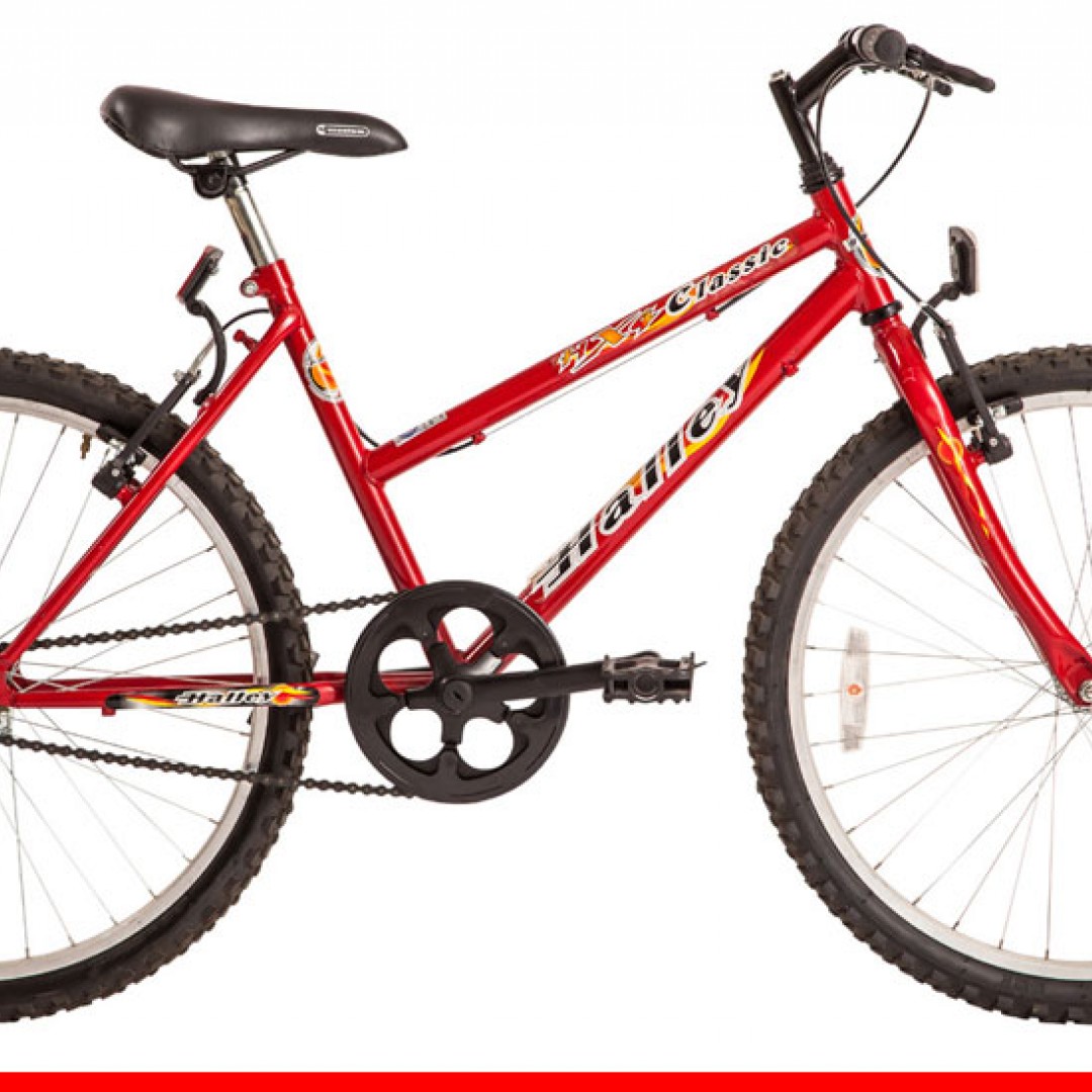 bicicleta-mtb-r24-dama-1v-bin19092