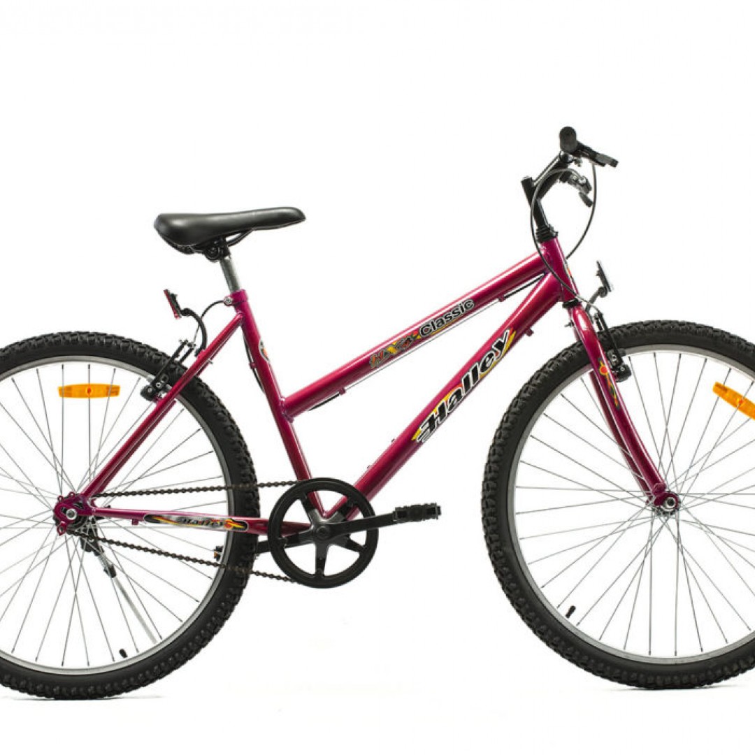 bicicleta-mtb-r26-dama-1v-bin19102