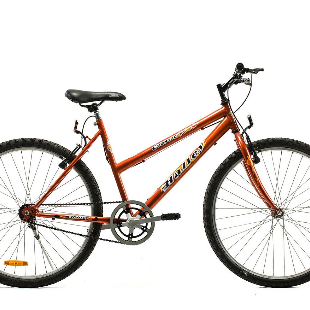 bicicleta-mtb-r26-dama-1v-bin19102