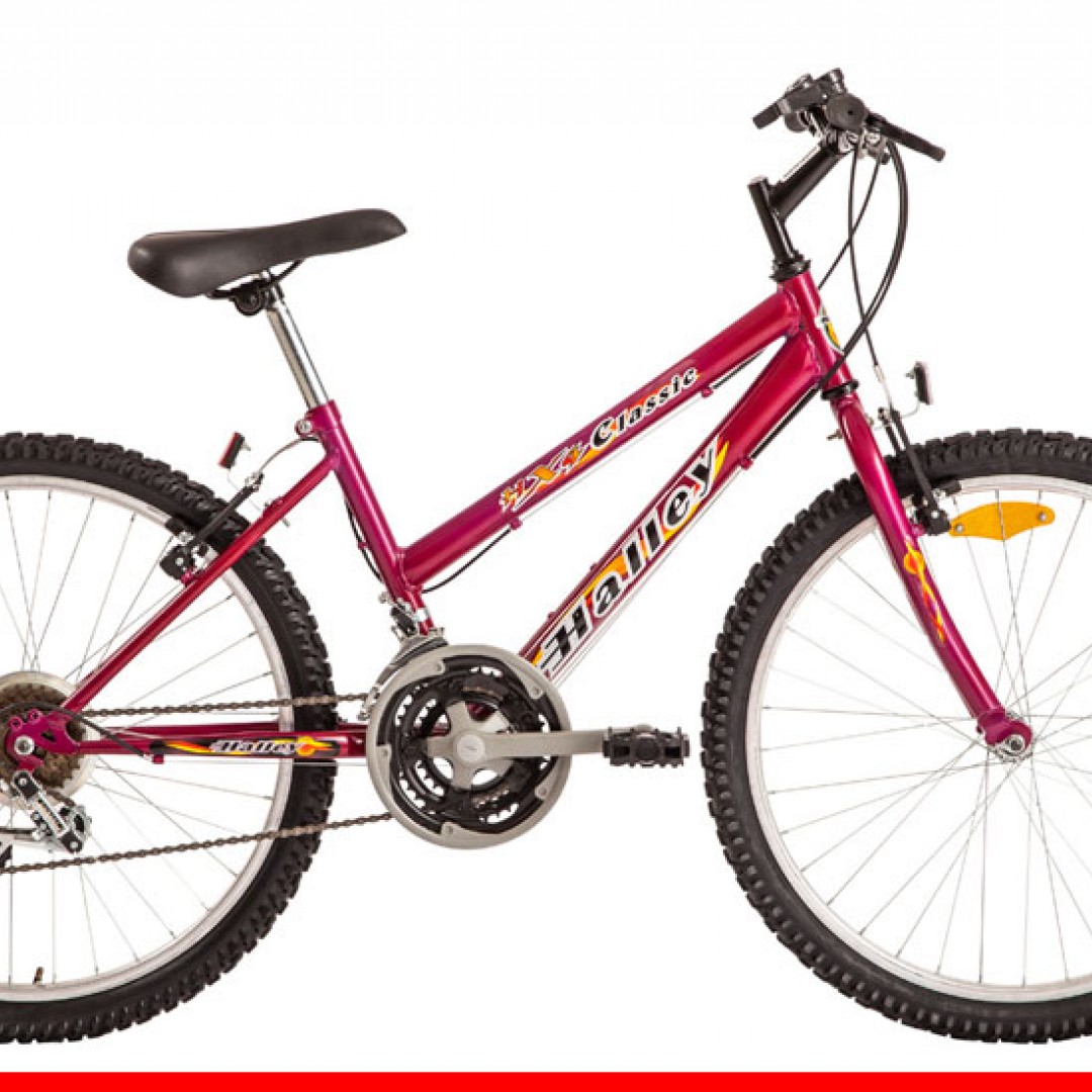 bicicleta-mtb-r24-dama-18v-bin19133